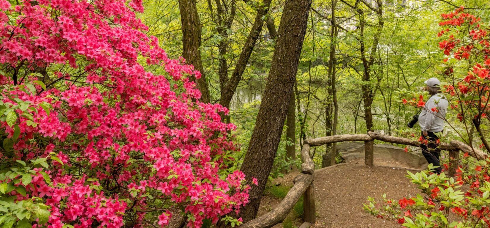 Natures Secret‌ Sanctuaries:⁣ Breathtaking Landscapes Off the ‌Beaten Path